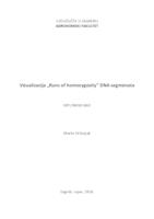 Vizualizacija "Runs of Homozygosity" DNA segmenata