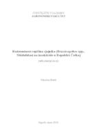 Rezistentnost repičina sjajnika (Brassicogethes spp., Nitidulidae) na insekticide u Republici Češkoj
