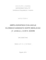 Ampelografska evaluacija klonskih kandidata sorte Moslavac (Vitis vinifera L.) u 2015. godini