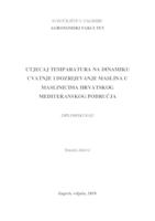 Utjecaj temperatura na dinamiku cvatnje i dozrijevanje maslina u maslinicima hrvatskog mediteranskog područja