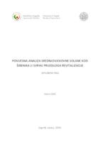 Povijesna analiza srednjovjekovne solane kod Šibenika u svrhu prijedloga revitalizacije
