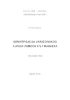 Genotipizacija varaždinskog kupusa pomoću AFLP markera