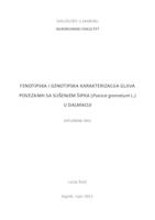 Fenotipska i genotipska karakterizacija gljiva povezanih sa sušenjem šipka (Punica granatum L.) u Dalmaciji