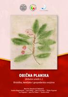 Obična planika (Arbutus unedo L.) : biološka, kemijska i gospodarska svojstva