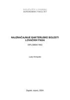 Najznačajnije bakterijske bolesti lovačkih pasa