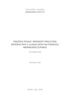 Praćenje pojave i brojnosti proljetnih repičinih pipa u uljanoj repici na području Međimurske županije