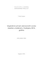 Vegetativni prirast udomaćenih sorata masline u kolekciji u Vodnjanu 2016. godine