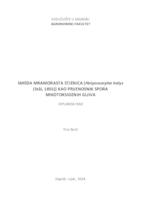 Smeđa mramorasta stjenica (Halyomorpha halys (Stal, 1855)) kao prijenosnik spora mikotoksigenih gljiva