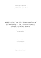 Ampelografska evaluacija klonskih kandidata sorte "Kujundžuša bijela" (Vitis vinifera L.) u uvjetima vinogorja Imotski