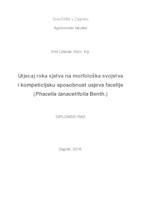 Utjecaj roka sjetve na morfološka svojstva i kompeticijsku sposobnost usjeva facelije (Phacelia tanacetifolia Benth.)