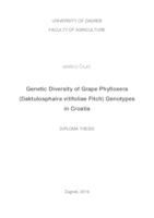 Genetska raznolikost genotipova trsova ušenca (Daktulosphaira vitifoliae Fitch) u Hrvatskoj