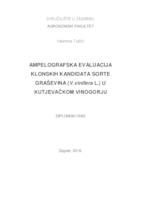 Ampelografska evalucija klonskih kandidata sorte Graševina (V. vinifera L.) u kutjevačkom vinogorju