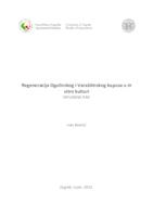 prikaz prve stranice dokumenta Regeneracija Ogulinskog i Varaždinskog kupusa u in vitro kulturi