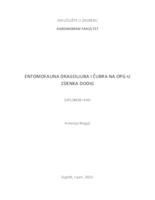 prikaz prve stranice dokumenta Entomofauna dragoljuba i čubra na OPG-u Zdenka Dodig