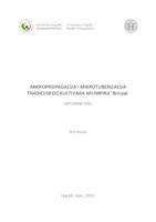 prikaz prve stranice dokumenta Mikropropagacija i mikrotuberizacija tradicijskog kultivara krumpira 'Brinjak'