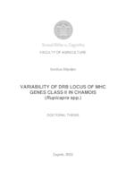 prikaz prve stranice dokumenta Variability of DRB locus of MHC genes class II in chamois (Rupicapra spp.)