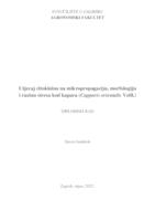 prikaz prve stranice dokumenta Utjecaj citokinina na mikropropagaciju, morfologiju i razinu stresa kod kapara (Capparis orientalis Veill.)