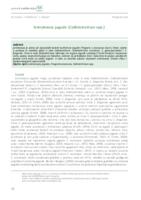 prikaz prve stranice dokumenta Antraknoza jagode (Colletotrichum spp.)