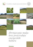 prikaz prve stranice dokumenta Zbrinjavanje mulja kroz proizvodnju energetskih kultura : HRZZ projekt