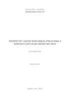 prikaz prve stranice dokumenta Perspektive i izazovi bioplinskog poslovanja u kontekstu aktualne energetske krize