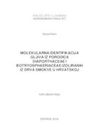 prikaz prve stranice dokumenta Molekularna identifikacija gljiva iz porodica Diaporthaceae i Botriosphaeriaceae izoliranih iz drva smokve u Hrvatskoj