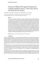 prikaz prve stranice dokumenta Presence of different life stages of European eel (Anguilla anguilla Linnaeus, 1758) in the catch at the mouth of river Neretva