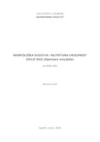 prikaz prve stranice dokumenta Morfološka svojstva i nutritivna vrijednost divlje rige (Diplotaxis tenuifolia)