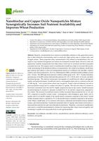 prikaz prve stranice dokumenta Nanobiochar and Copper Oxide Nanoparticles Mixture Synergistically Increases Soil Nutrient Availability and Improves Wheat Production