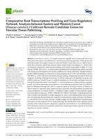 prikaz prve stranice dokumenta Comparative Root Transcriptome Profiling and Gene Regulatory Network Analysis between Eastern and Western Carrot (Daucus carota L.) Cultivars Reveals Candidate Genes for Vascular Tissue Patterning