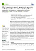 prikaz prve stranice dokumenta Garlic Ecotypes Utilise Different Morphological, Physiological and Biochemical Mechanisms to Cope with Drought Stress