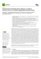 prikaz prve stranice dokumenta Enhancement of Salinity Stress Tolerance in Lettuce (Lactuca sativa L.) via Foliar Application of Nitric Oxide