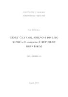 prikaz prve stranice dokumenta Genetička varijabilnost divljeg kunića (O.cuniculus) u Republici Hrvatskoj