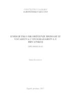prikaz prve stranice dokumenta Energetsko iskorištenje biomase iz voćarstva i vinogradarstva u Hrvatskoj